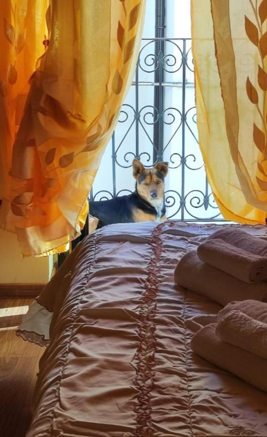 La Casetta Della Nonna 卡拉马尼科泰尔梅 外观 照片